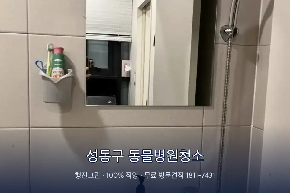 성동구 동물병원청소 병원 화장실 세면대 살균