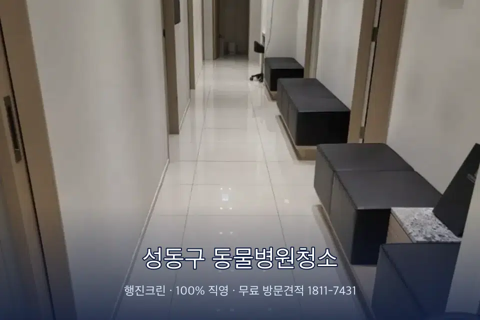 성동구 동물병원청소 병원 복도 바닥을 닦는 청소 작업자