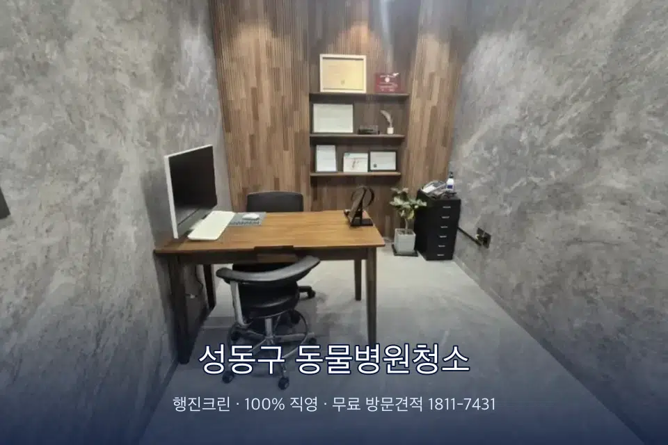 성동구 동물병원청소 원장실 책상 주변 청소
